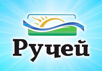 Специалисты РЦ «Ручей» поделились с коллегами своим опытом